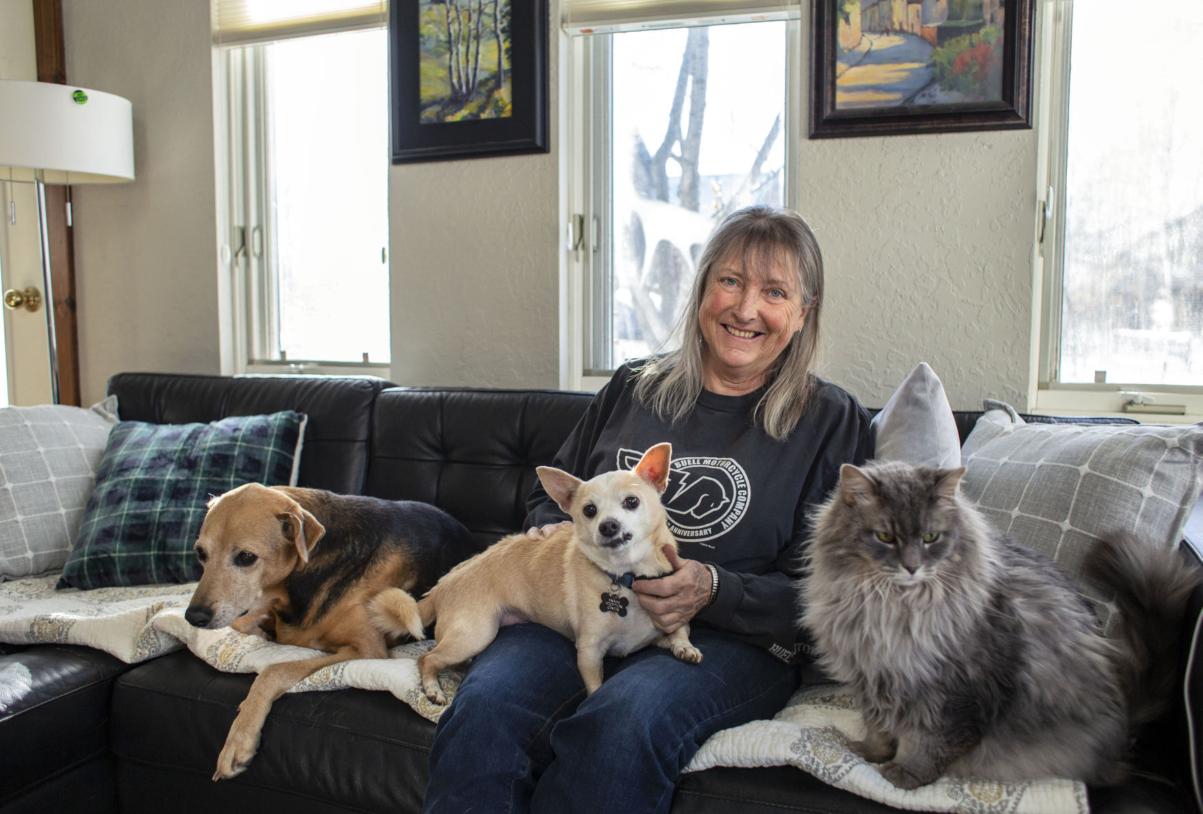Animal adoptions during COVID-19
